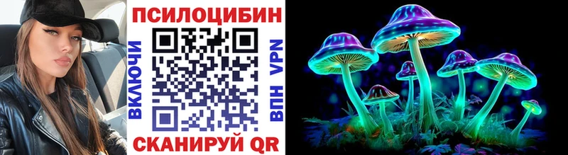 дарнет шоп  Белинский  Псилоцибиновые грибы мицелий 